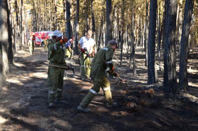 Waldbrand_Foehrenwald_Tag_2__281129.JPG