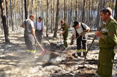 Waldbrand_Foehrenwald_Tag_2__281729.JPG