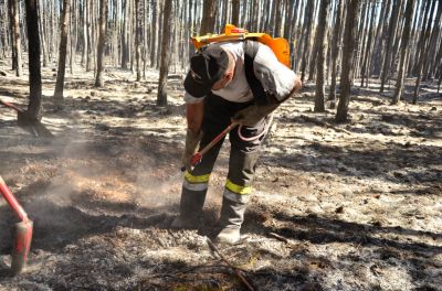 Waldbrand_Foehrenwald_Tag_2__281829.JPG