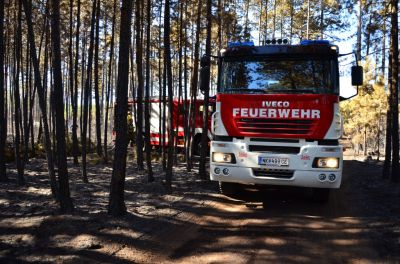 Waldbrand_Foehrenwald_Tag_2__28329.JPG